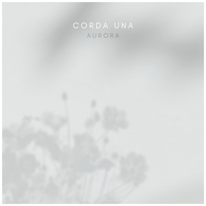 麻豆无🈚🈚🈚吗码
